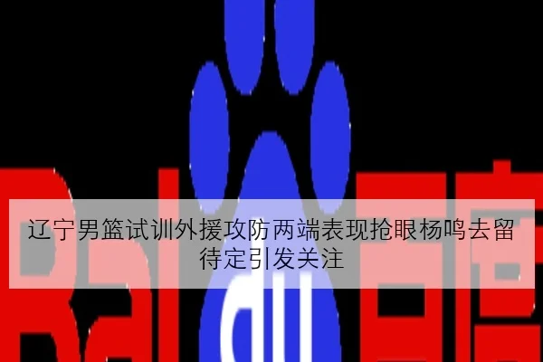 辽宁男篮试训外援攻防两端表现抢眼杨鸣去留待定引发关注